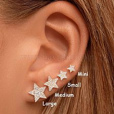 1 Pair Simple Style Pentagram Star Plating Inlay Metal Copper Zircon White Gold Plated Gold Plated Ear Studs